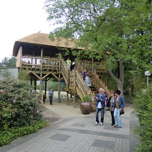 Lookout at the new Lion Enclosure