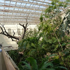 Indoor Flight Exhibit (Second Floor)