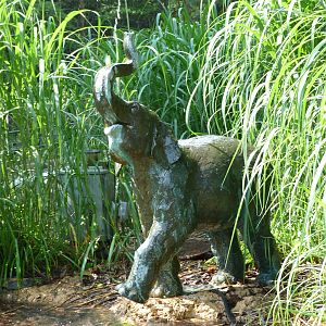 Elephant Fountain