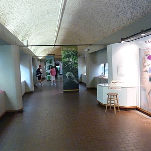 Hallway of Reptile House