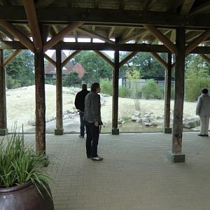 View on the new Lion Enclosure from below