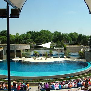 Dolphinarium at Madrid Zoo Aquarium, 26/05/11