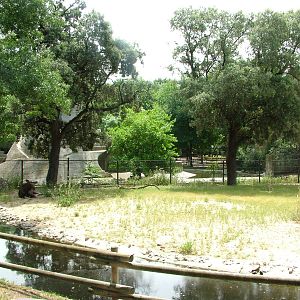 Mixed Deer Exhibit at Madrid Zoo Aquarium, 26/05/11