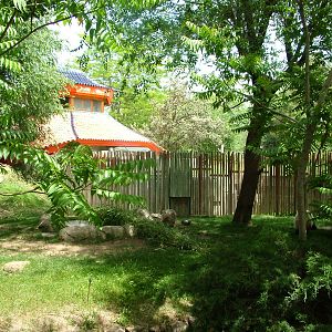 Giant Panda Exhibit at Madrid Zoo Aquarium, 26/05/11