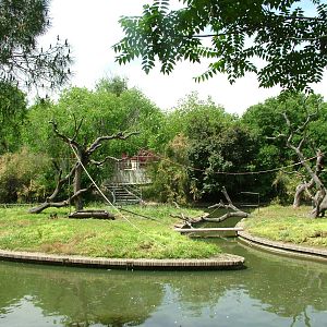 Monkey Islands at Madrid Zoo Aquarium, 26/05/11