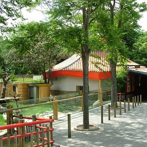 Giant Panda House at Madrid Zoo Aquarium, 26/05/11