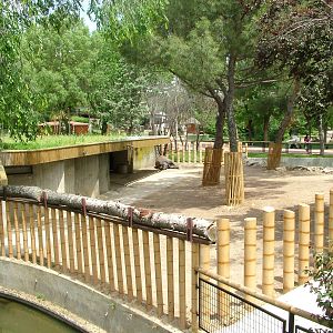 Indian Rhino Paddock at Madrid Zoo Aquarium, 26/05/11