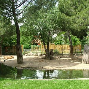 Deer Paddock at Madrid Zoo Aquarium, 26/05/11