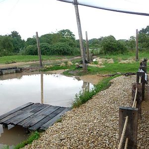 New "Wader Shore" aviary