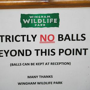 Sign at Wingham