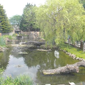 Giant Otter enclosure at Chester Zoo 11/06/11
