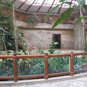 Indoor Elephant House