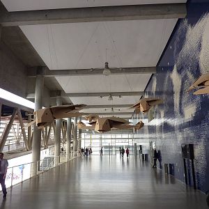 Artistic installation - Sea turtle exhibition