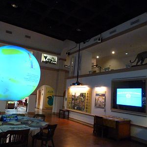 Back Section of Amazonia