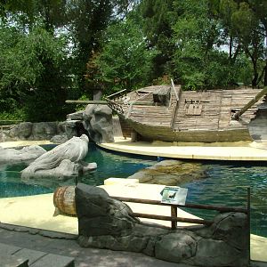 Sea Lion Pool at Madrid Zoo Aquarium, 26/05/11
