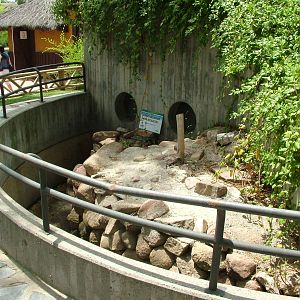 Former Raccoon Exhibit at Madrid Zoo Aquarium, 26/05/11