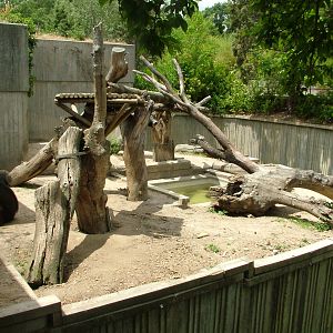 Spectacled Bear/Coati Exhibit at Madrid Zoo Aquarium, 26/05/11
