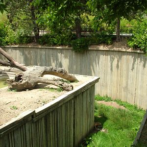 Spectacled Bear/Coati Exhibit at Madrid Zoo Aquarium, 26/05/11