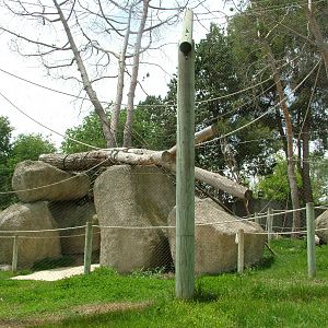 Lemur Walk-through at Madrid Zoo Aquarium, 26/05/11