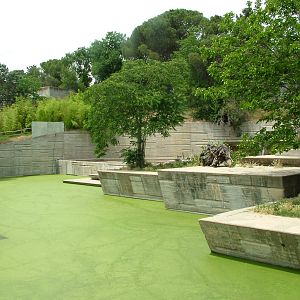 Tiger Exhibit at Madrid Zoo Aquarium, 26/05/11