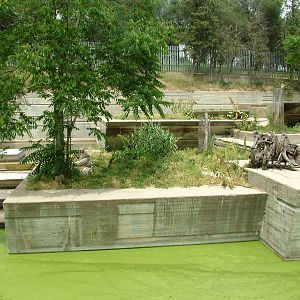 Tiger Exhibit at Madrid Zoo Aquarium, 26/05/11