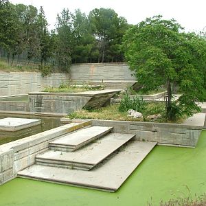 Tiger Exhibit at Madrid Zoo Aquarium, 26/05/11