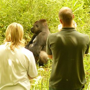 KUMBUKA AND COMPANY!