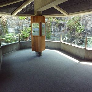 Shorebirds Exhibit (3 Species)