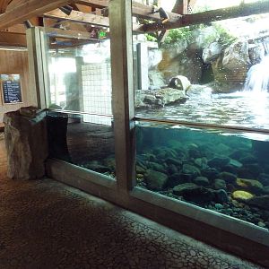 River Otter Exhibit