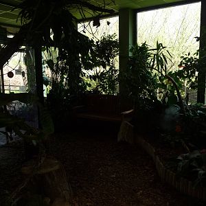 Inside Butterfly House