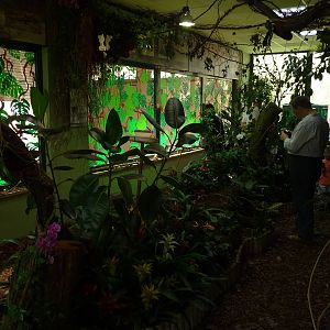 Inside Butterfly House