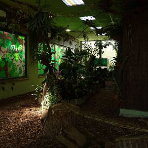 Inside Butterfly House