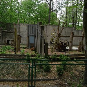 Sun bear exhibits