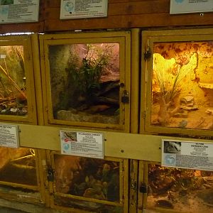 Inside reptile house