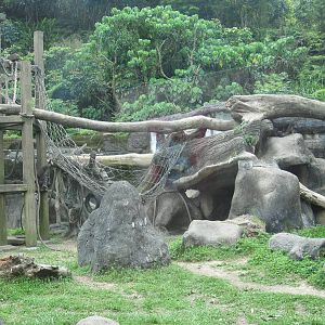 African zone - Chimpanzee exhibit