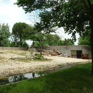 Bactrian Camel Paddock at Madrid Zoo Aquarium, 26/05/11