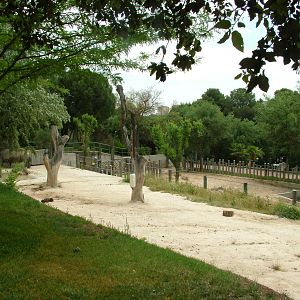 Rhino and Hippo Paddocks at Madrid Zoo Aquarium, 26/05/11
