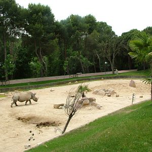 Rhino and Gazelle Paddock at Madrid Zoo Aquarium, 26/05/11