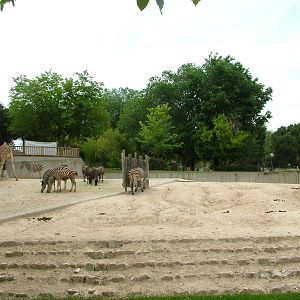 African Paddock at Madrid Zoo Aquarium, 26/05/11