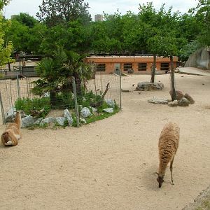 South American Paddock at Madrid Zoo Aquarium, 26/05/11