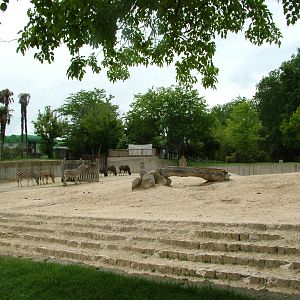 African Paddock at Madrid Zoo Aquarium, 26/05/11