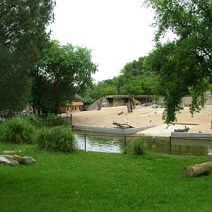 South American Paddock at Madrid Zoo Aquarium, 26/05/11