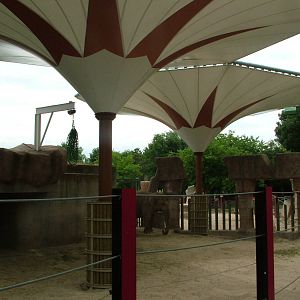 Elephant Paddock at Madrid Zoo Aquarium, 26/05/11