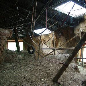 Indoor Orang Exhibit at Madrid Zoo Aquarium, 26/05/11