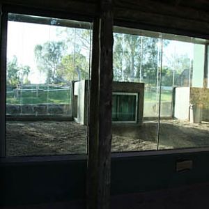 Orangutan Exhibit - June 11, 2011