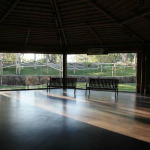 Orangutan Exhibit - June 11, 2011