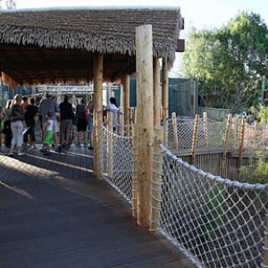 Orangutan Exhibit - June 11, 2011