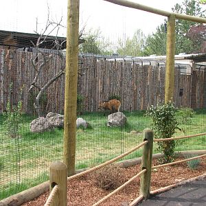 Animals of the Pampas - Maned Wolf/Giant Anteater Exhibit