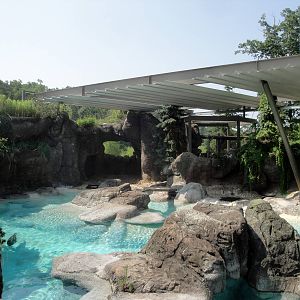 Seal/Sea Lion Exhibit