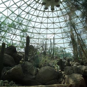 Sonoran Desert Dome